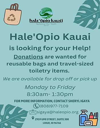 Reusable Bag and Travel Sized Toiletry items Flyer - Hale Opio Kauai