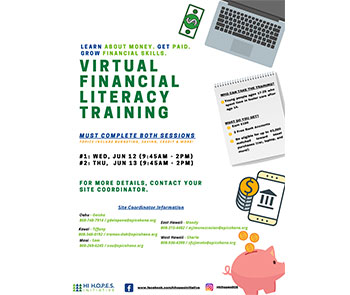 Virtual Financial Literacy Training 2024
